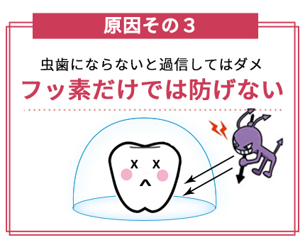 cause01_03.jpg